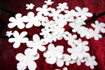 flowers-1