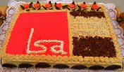 kuka_lsa